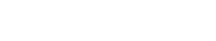 Digital Village